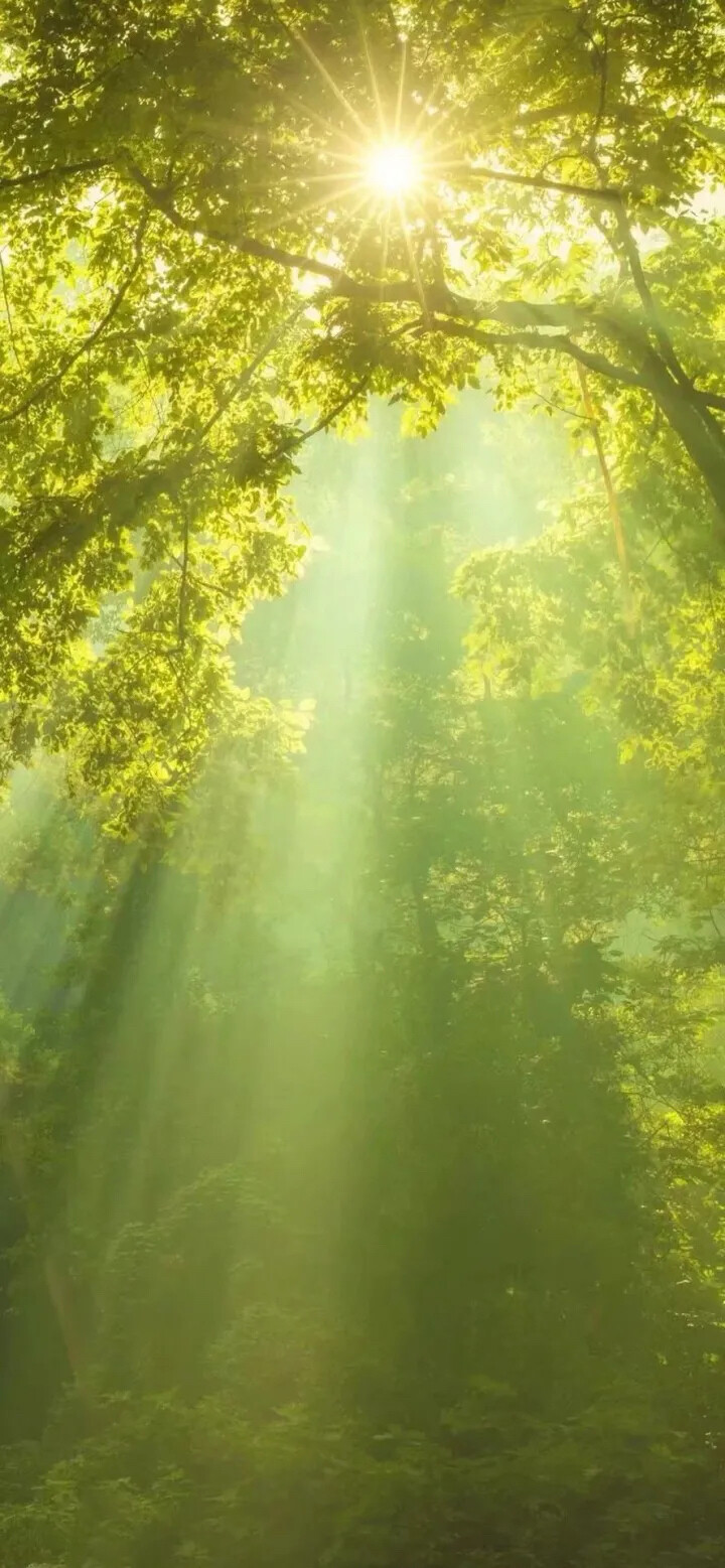 风景壁纸