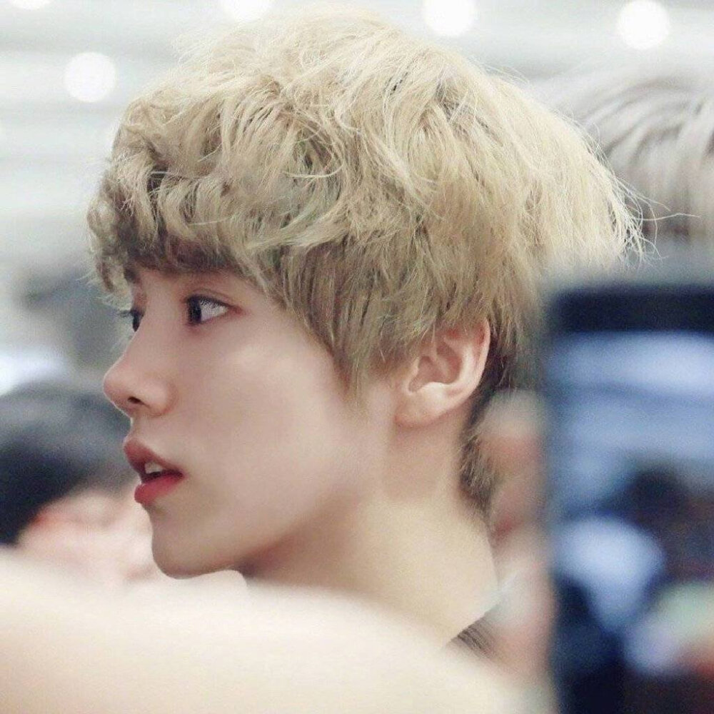 Lu Han