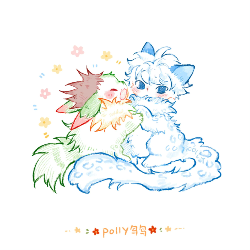 polly鸟鸟