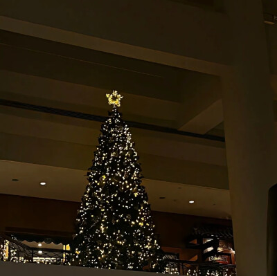 圣诞快乐
微信背景
QQ背景