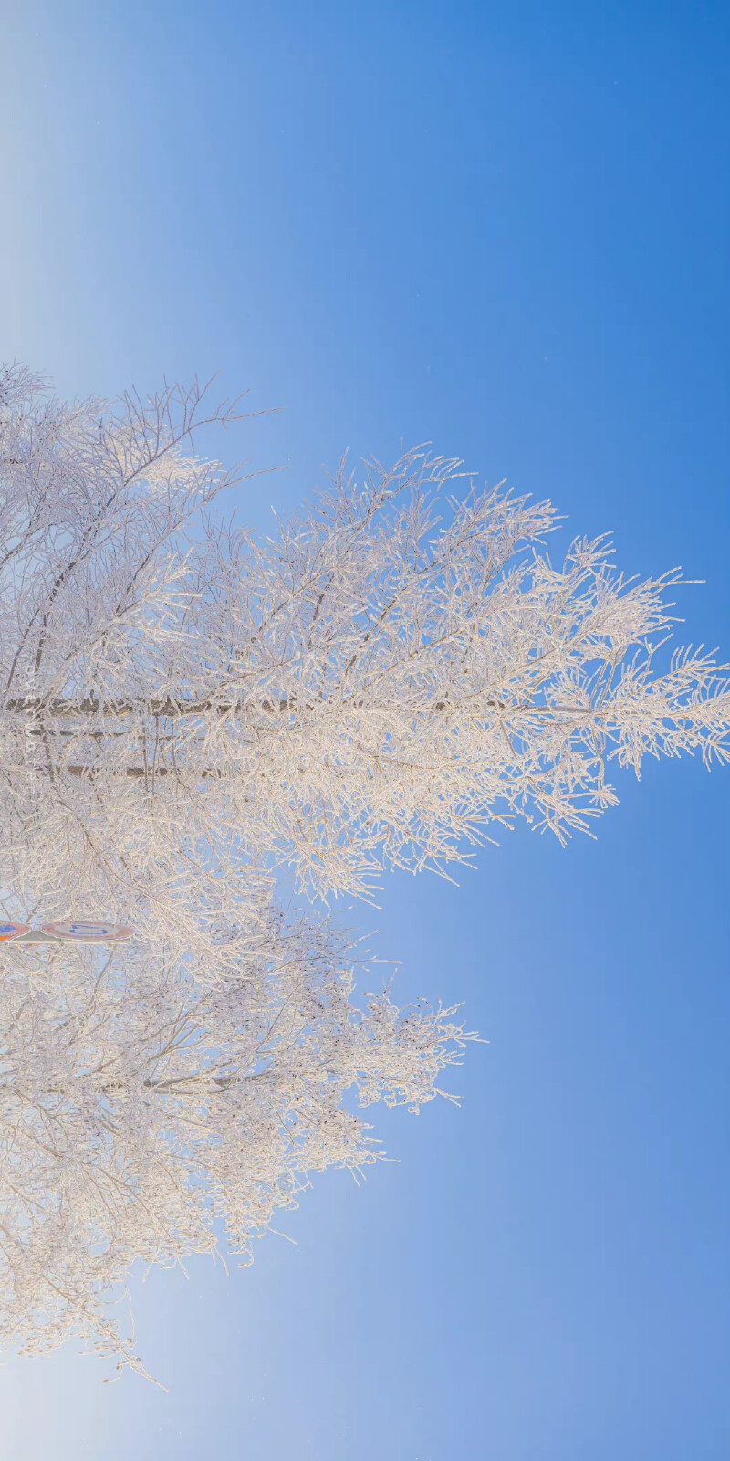 天晴时雪 *･ﾟ
「小樽.富良野」
摄影:overwater