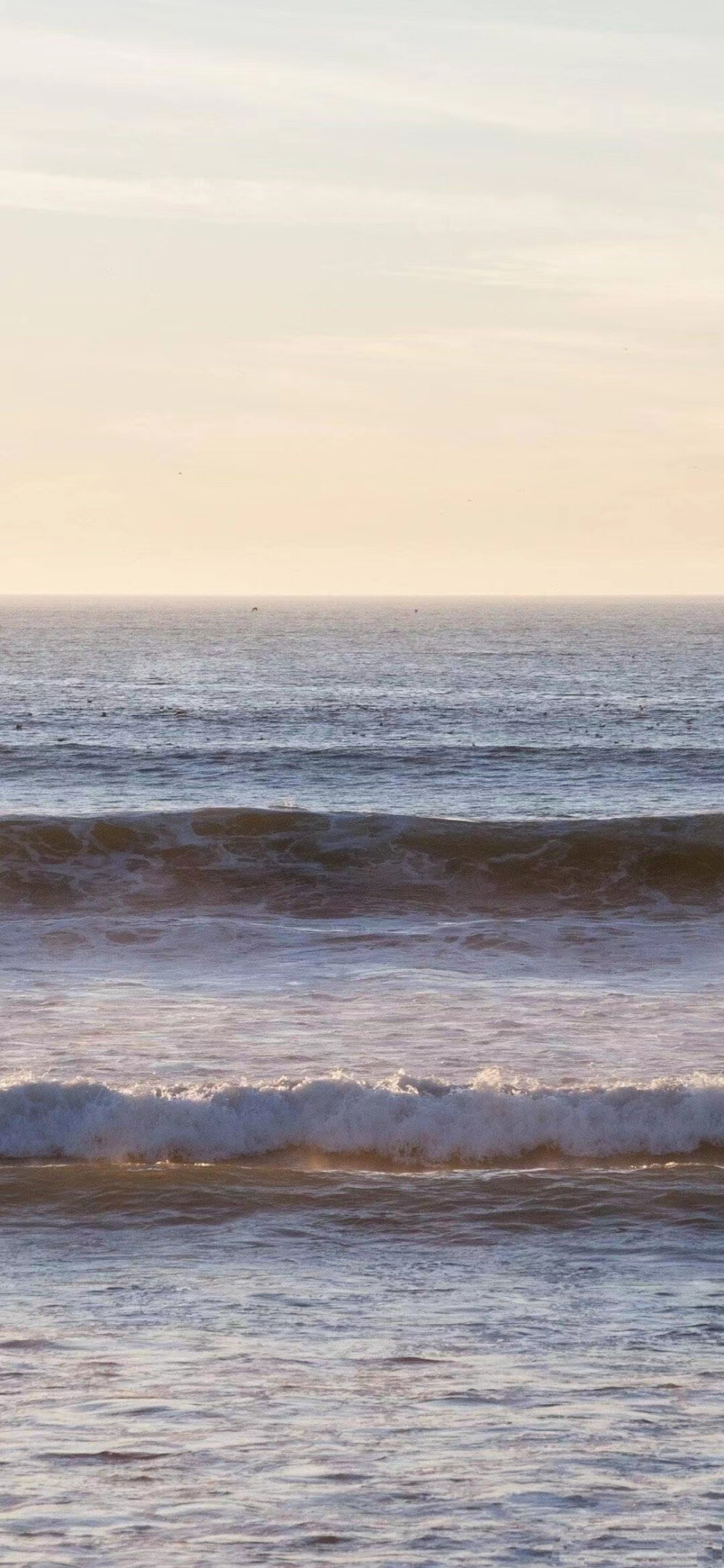 Wallpaper / 治愈系唯美壁纸