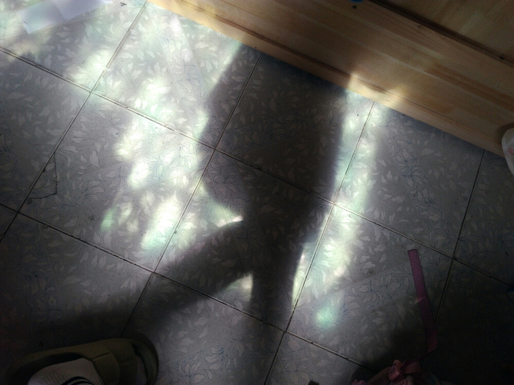 可以用来网恋的照片