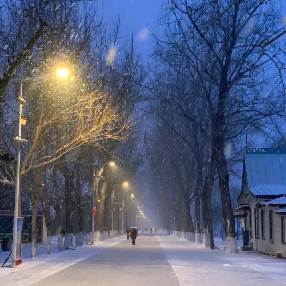 冬天氛围背景图片，下雪，名片背景