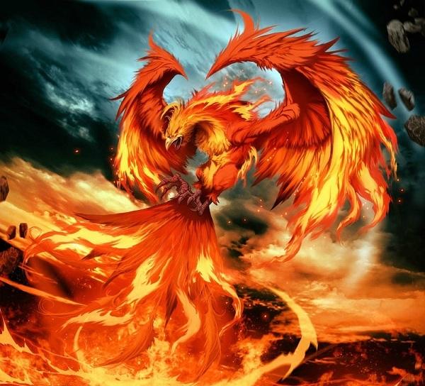 朱雀 "上古四神兽之一" 南方神兽朱雀就是鸟的外形.