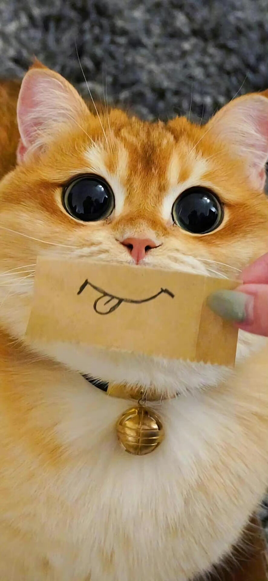 ，