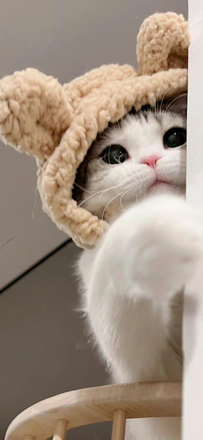 ，