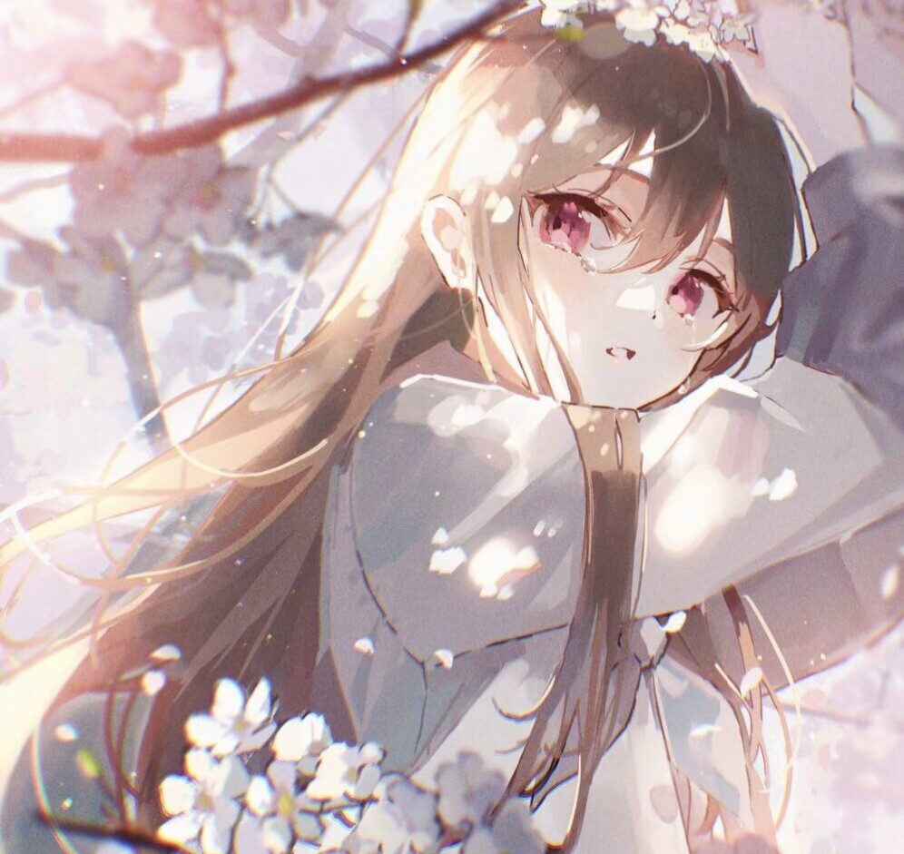 公主才不会在意别人说了什么