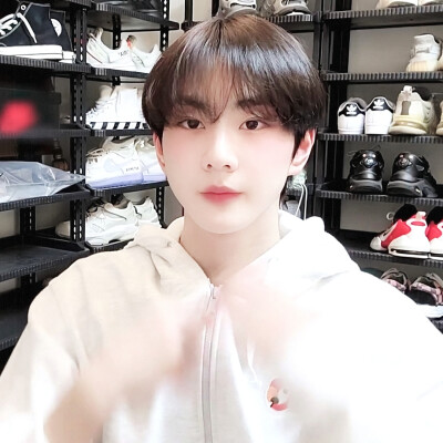 A cicák imádják fésülni a hajukat.고양이
梁祯元