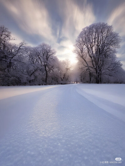 雪景