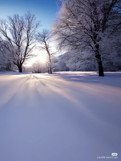 雪景