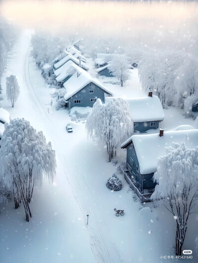 雪景