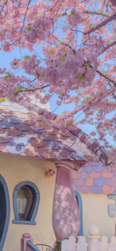 氛围感壁纸 侵权删