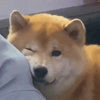 各類文字表情包/搞笑/可爱