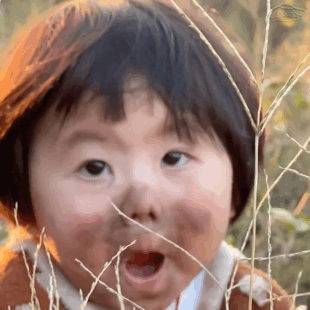 各類文字表情包/搞笑/可爱