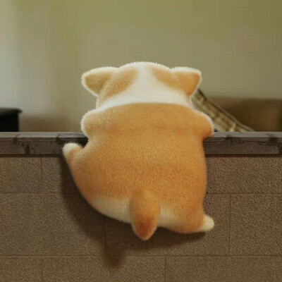 可可爱爱头像 动物 组团