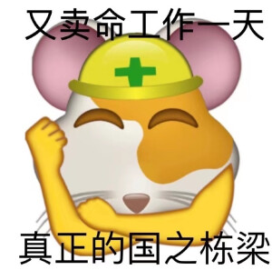 更多在小红书：一只很能吃的kk