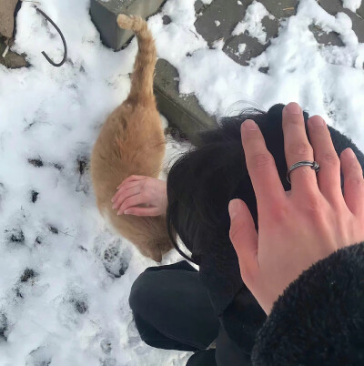 朋友圈背景图 第九十期 冬日·雪地 ​​​