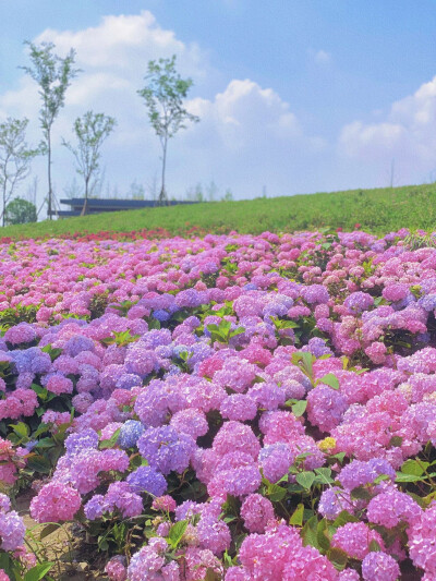 捧花见面永远是件超级浪漫的事情.