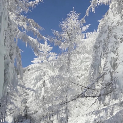 冬季雪地背景图