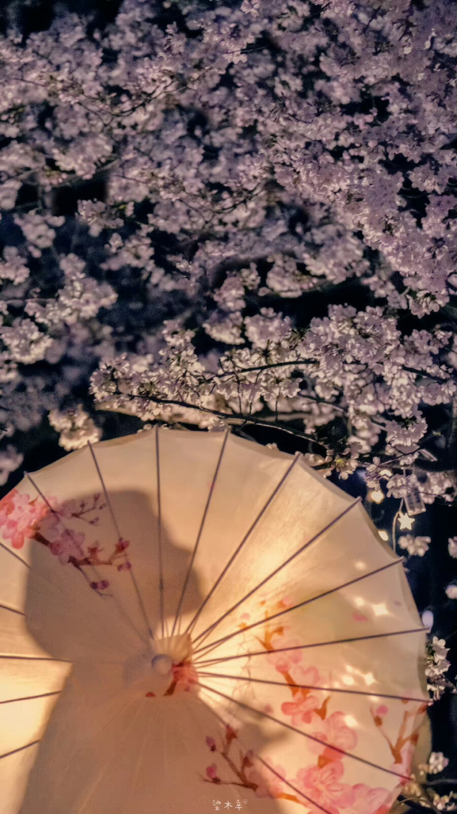 花&灯
壁纸