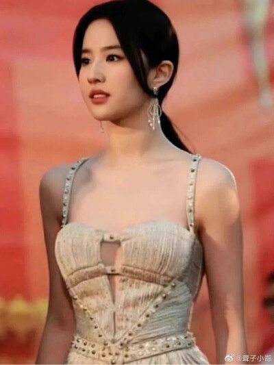 刘亦菲活动图