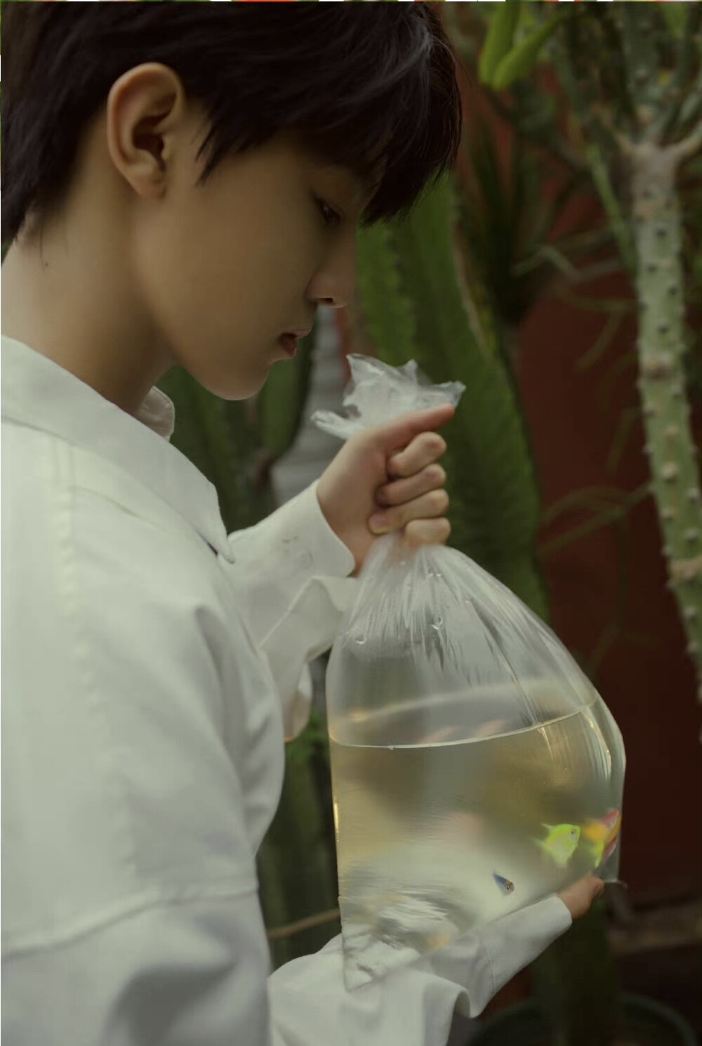 张泽禹