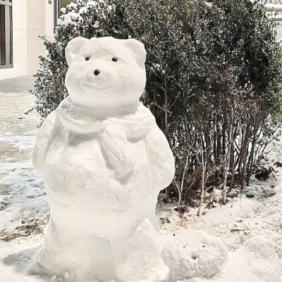 氛围感冬日雪景||背景图