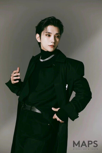 joshua 洪知秀 seventeen