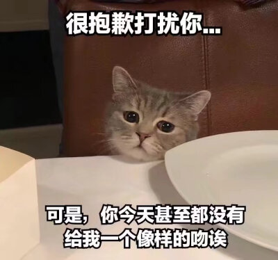 好不好吗