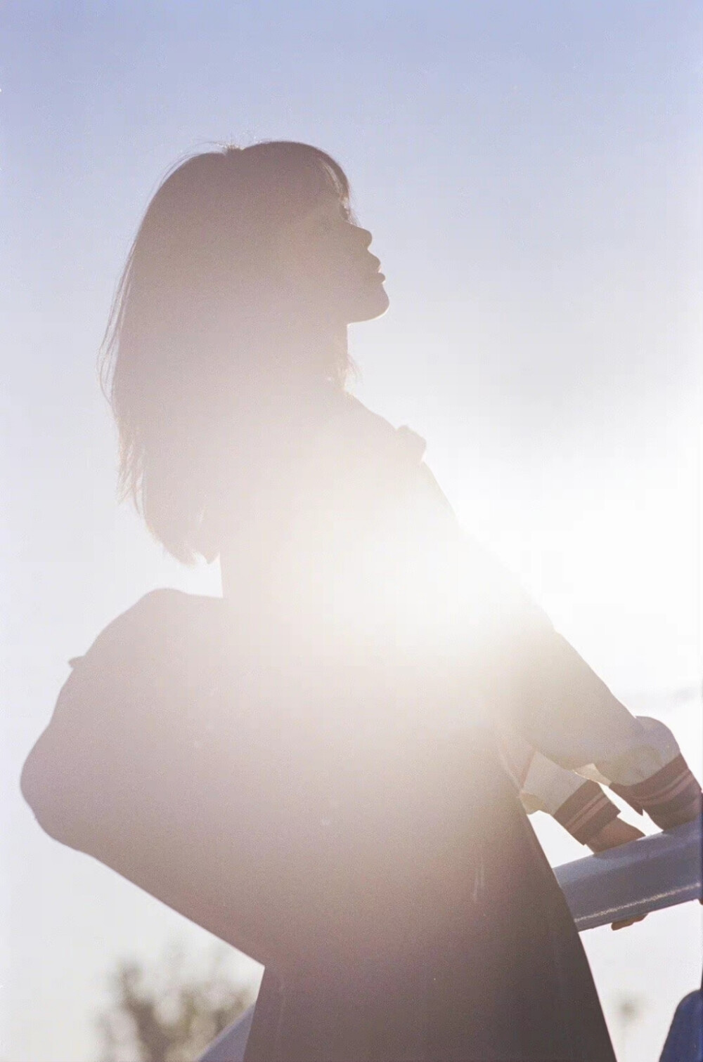 花与少女
摄影：@叶里isle