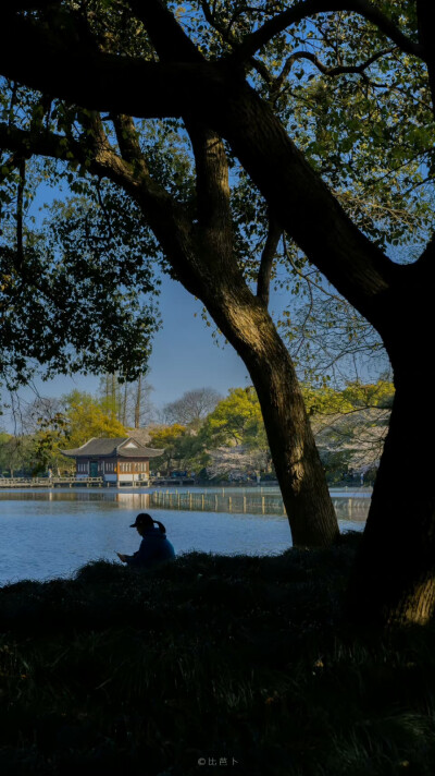  ゛这人情世故的每一份通透都是我拿失望换来的
