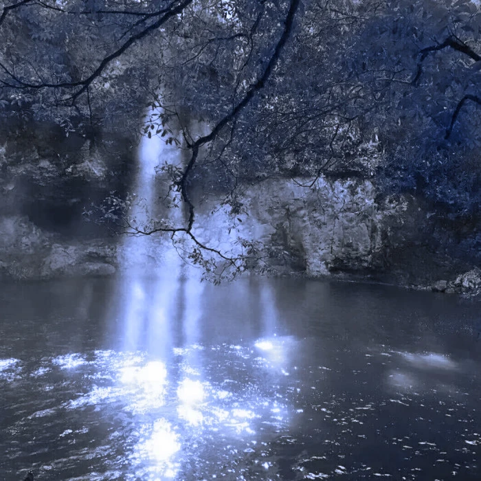  - 灯塔戀mein Baby：“永远Hope”落叶가을