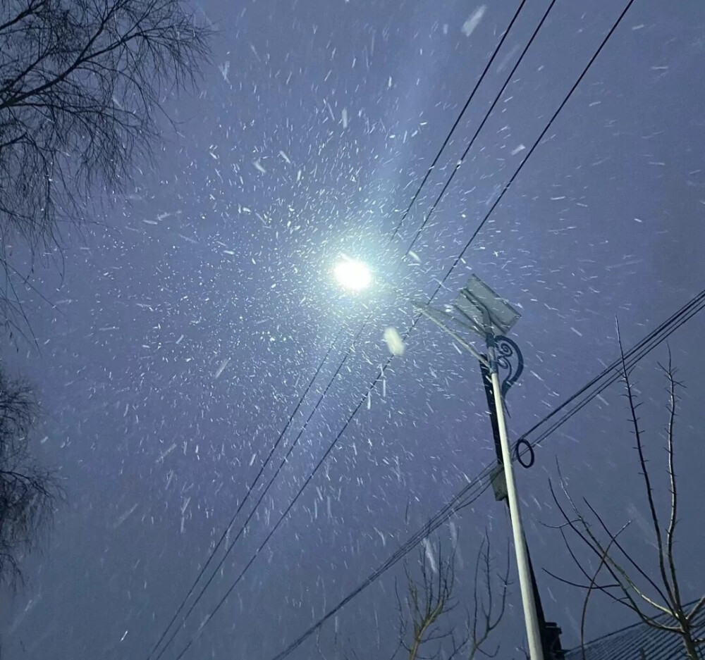 . 雪有雪的秘密
@爱咳嗽的九啊
