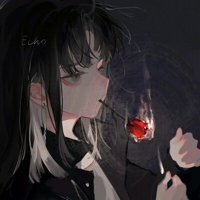 画师：Echo不是甜狗