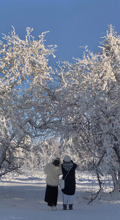 雪景壁纸