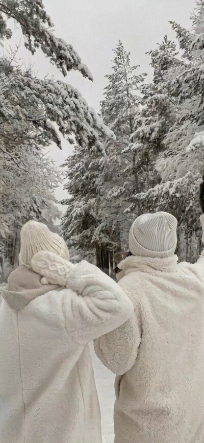 雪景壁纸