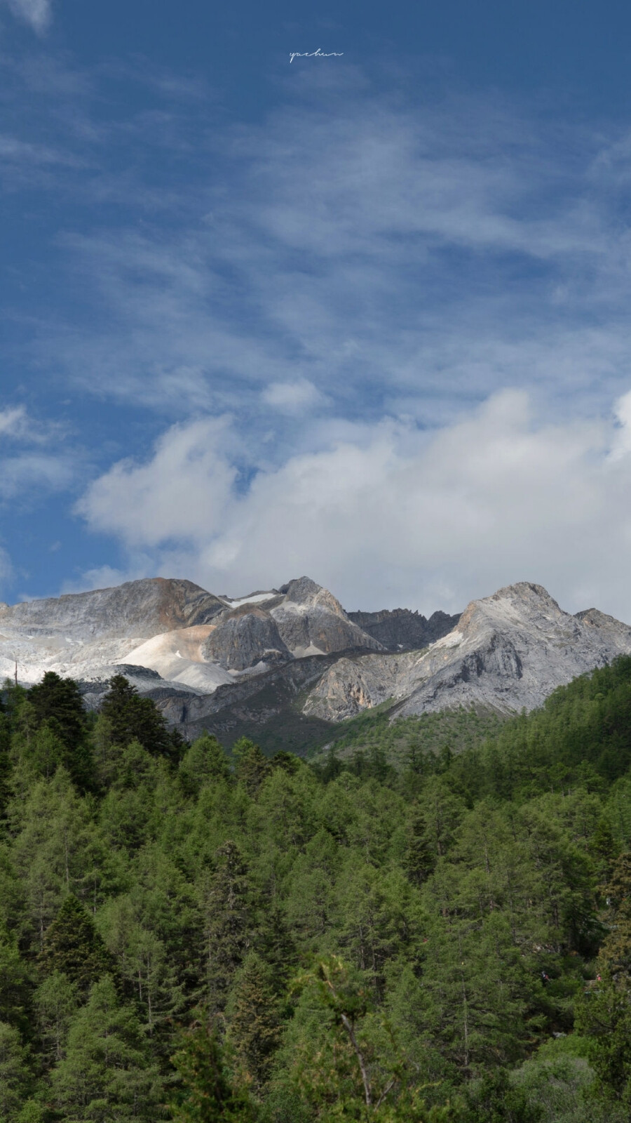 风景