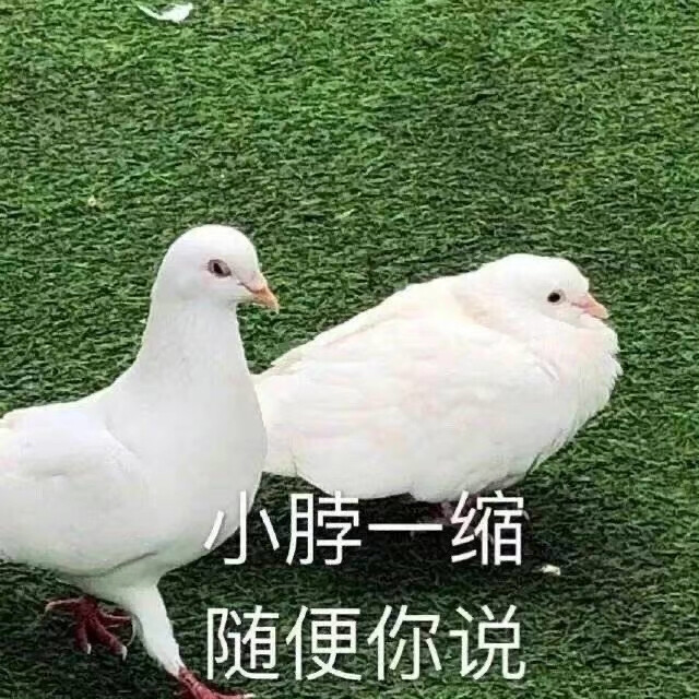 奇奇怪怪表情包