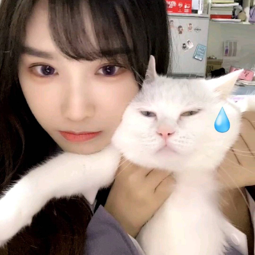 p1刘姝贤p2苏杉杉