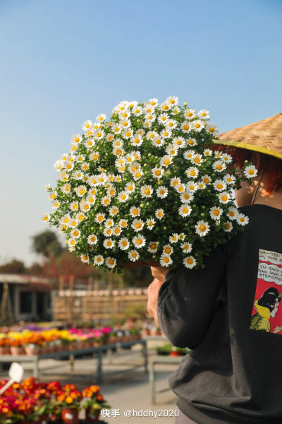 来自海蒂的花园