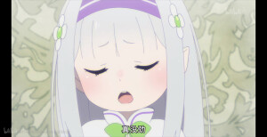 爱蜜莉雅！！！