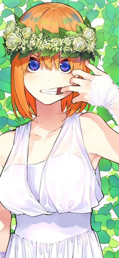 五等分的花嫁