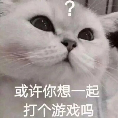 表情包：或许你想一起打个游戏吗