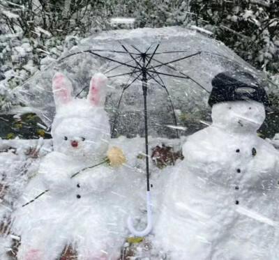 头像|冬日头像雪人雪地可爱氛围感雪天