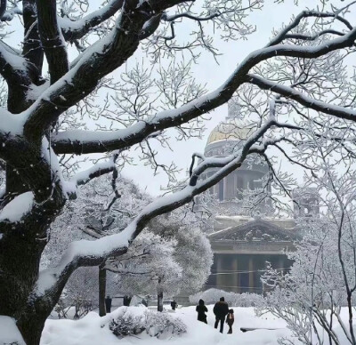 深冬的第一场雪