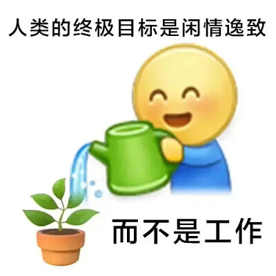 梗图 表情包 基金