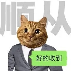 梗图 表情包 基金