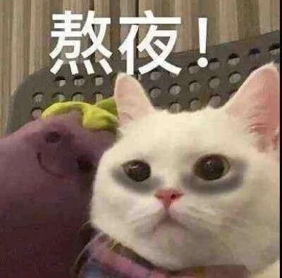 表情包