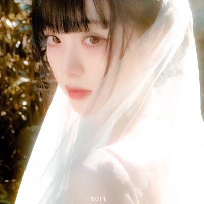 가을 은행나무^田曦薇
